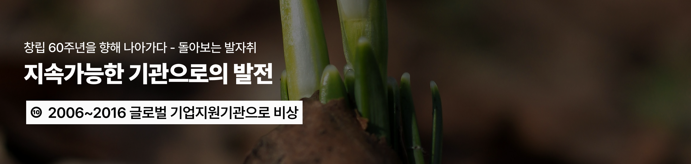 메인테마타이틀